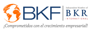 BKF International S.A. Auditores y Consultores